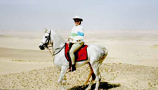 Egypt-Cairo-Desert, Nile and Pyramids Equestrian Getaway